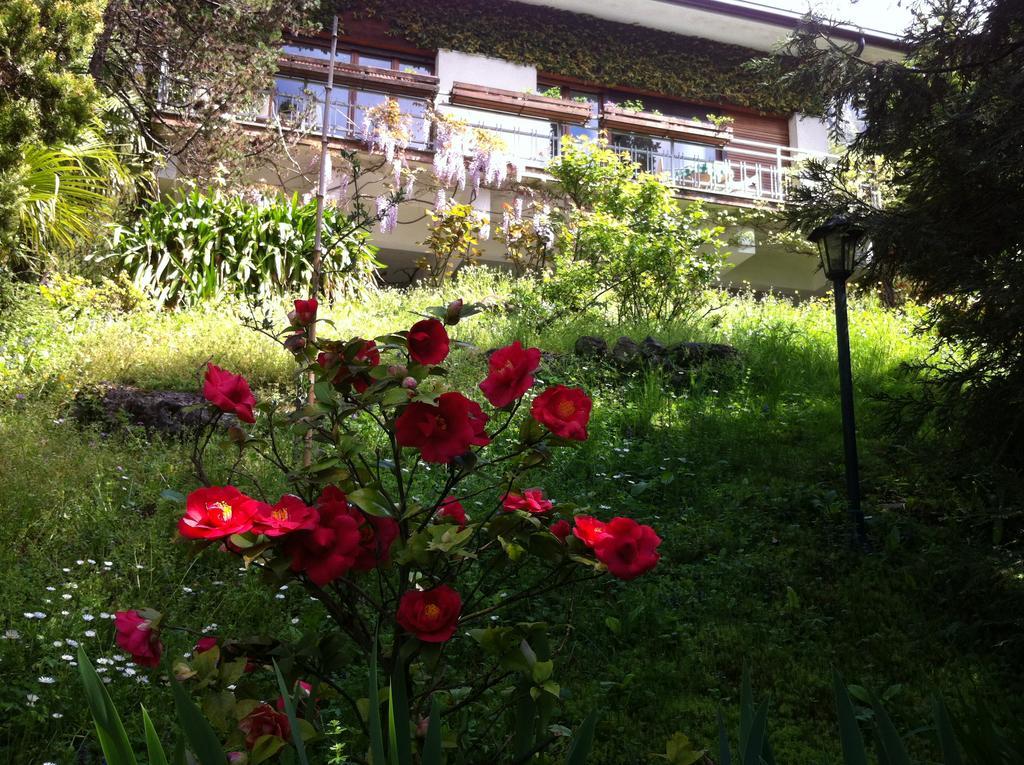 B&B Le Ortensie -Lago Di Como Lierna Exterior photo