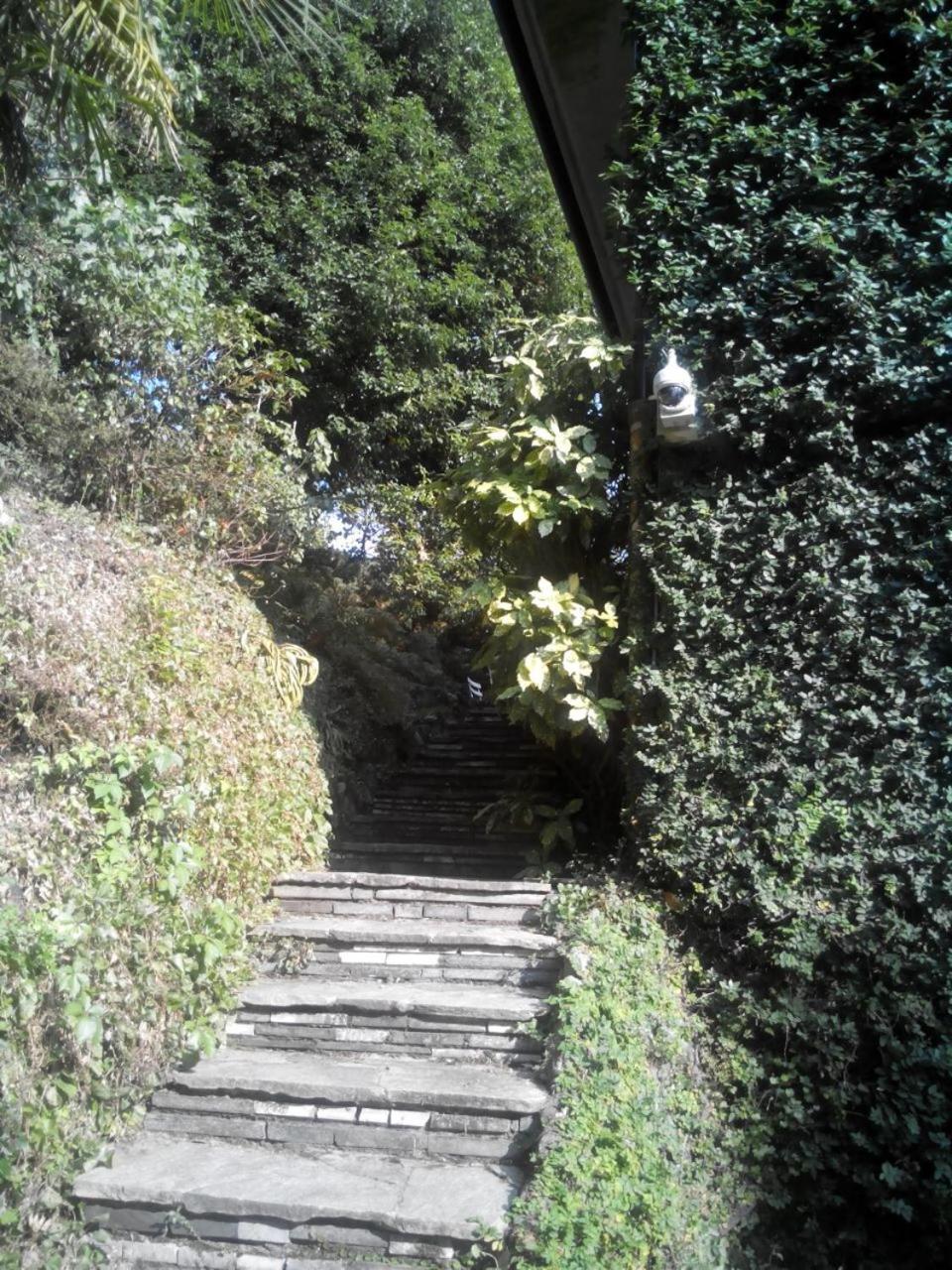 B&B Le Ortensie -Lago Di Como Lierna Exterior photo
